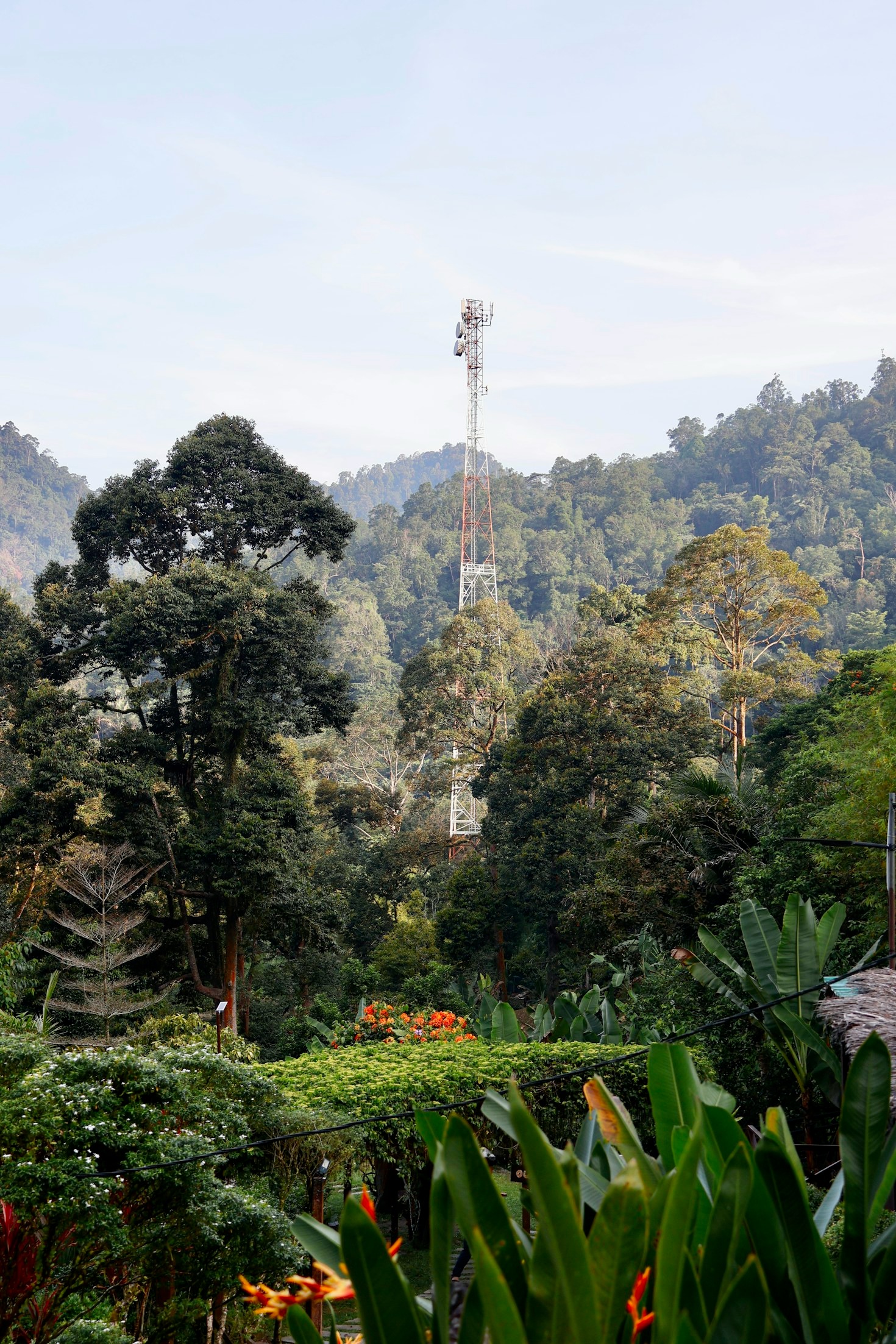 A importância da internet na vida rural e urbana.